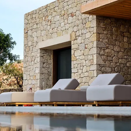 Olive Villa